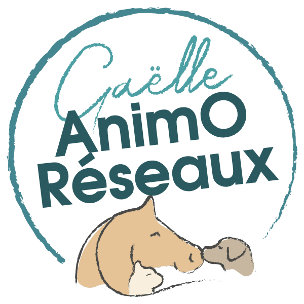 logo animoreseaux