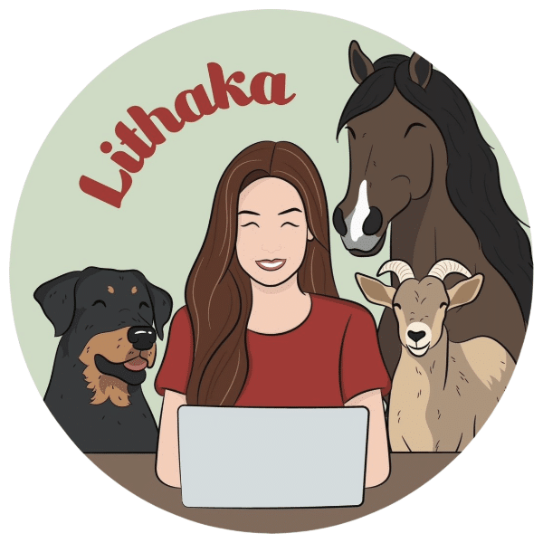 logo lithaka