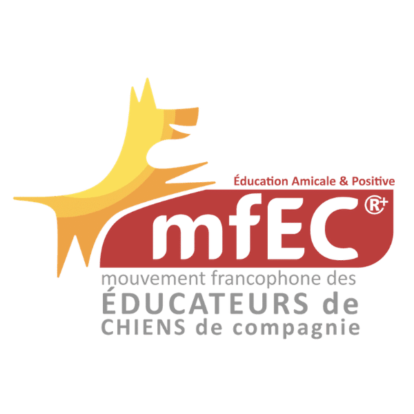 logo mfec
