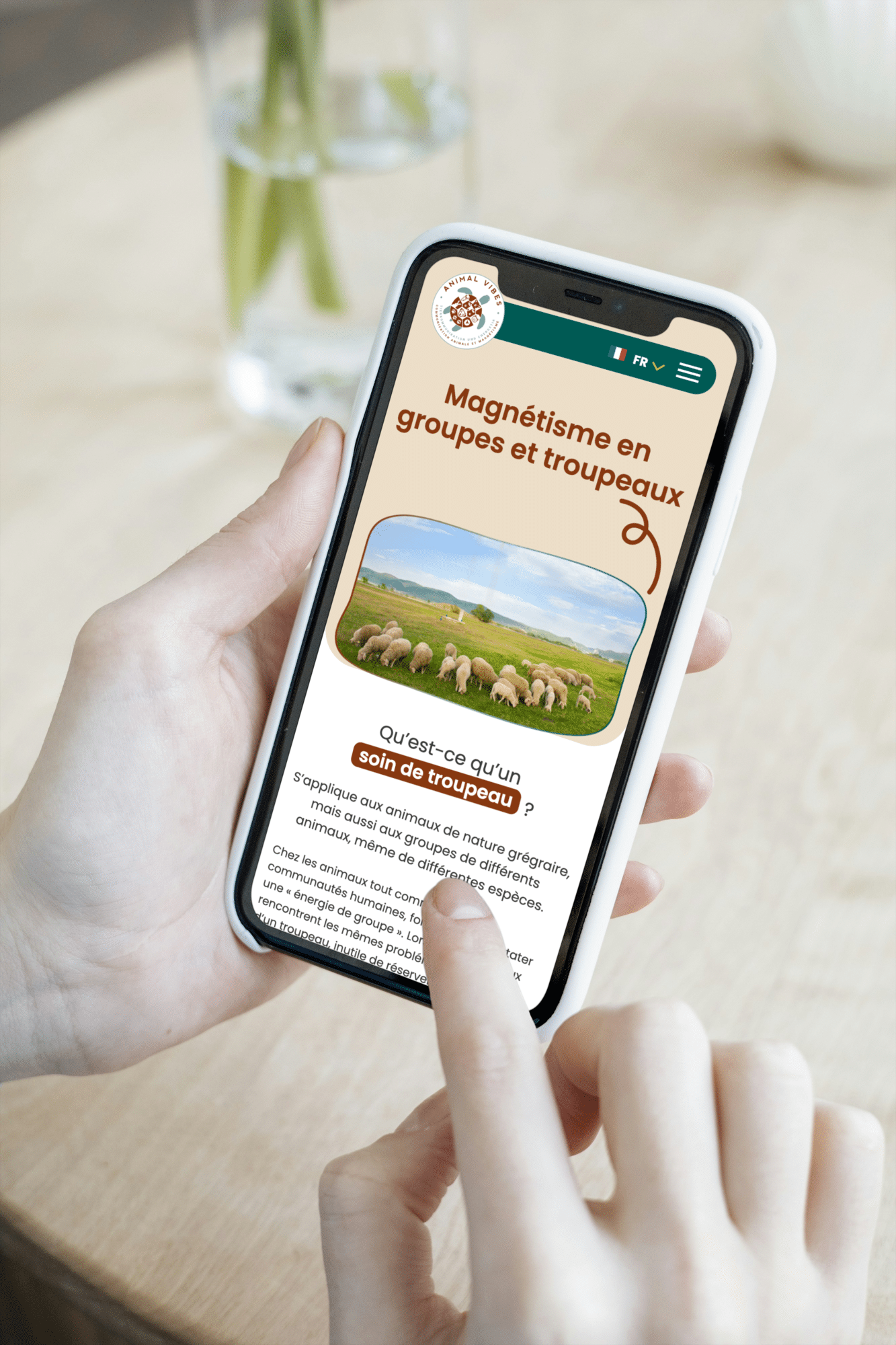 animalvibes visuel mobile2