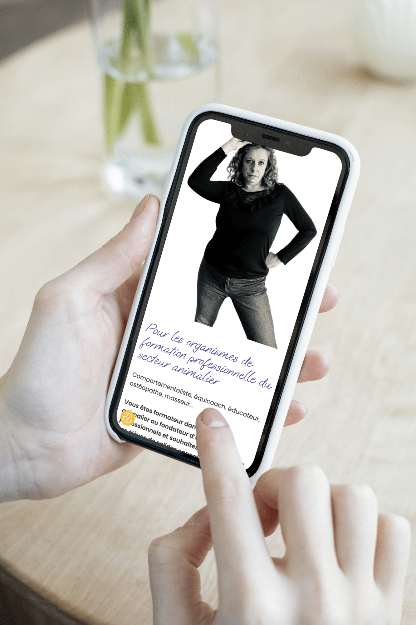 animoreseaux visuel mobile1