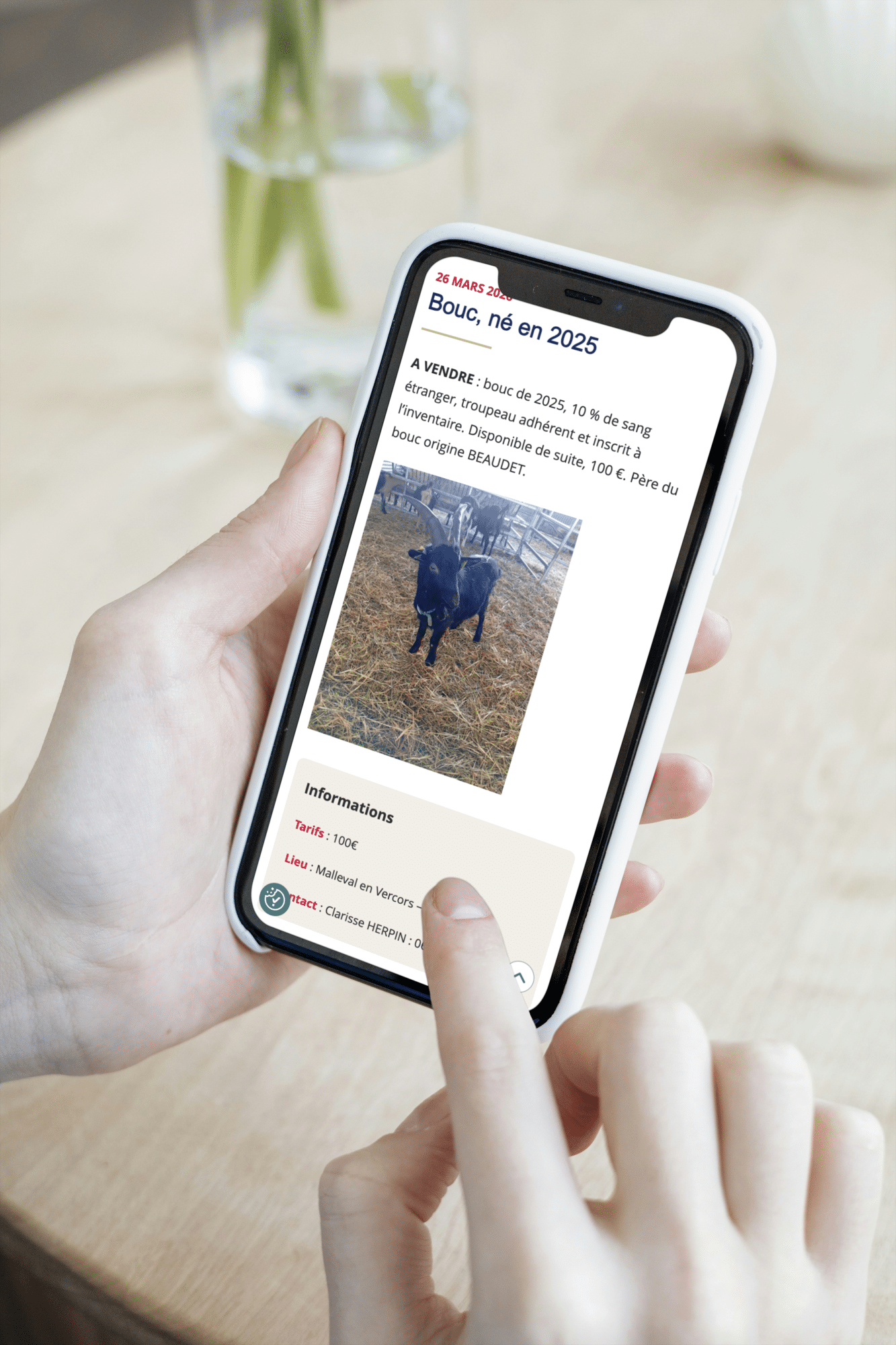 asschevresavoie visuel mobile2