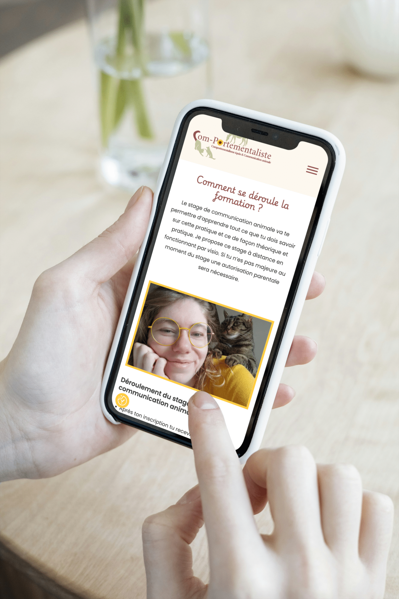 comportementaliste visuel mobile2