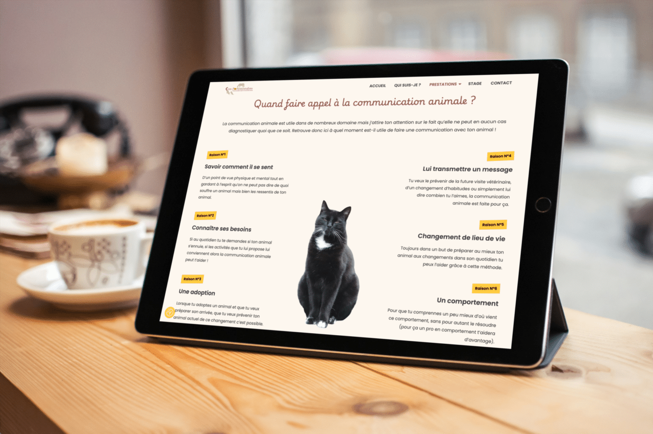 comportementaliste visuel tablette2