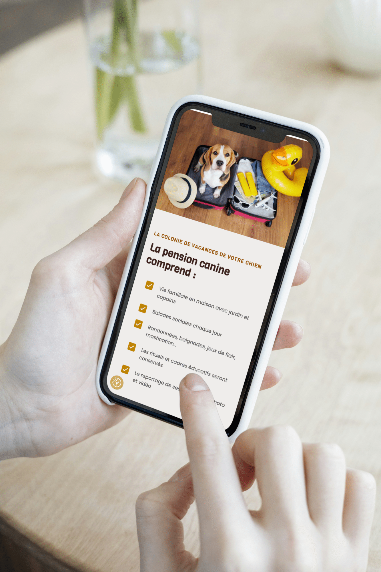 dogrevolutionacademy visuel mobile2