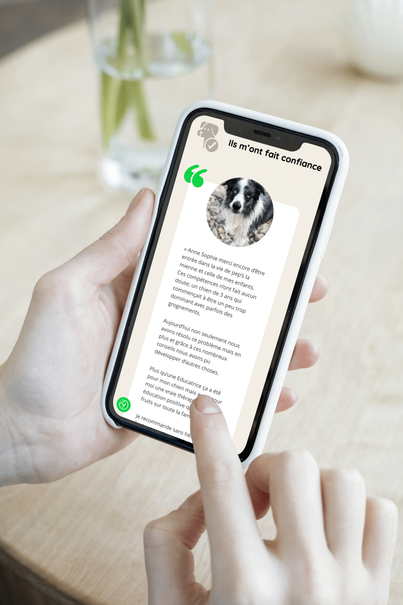 psydog visuel mobile2