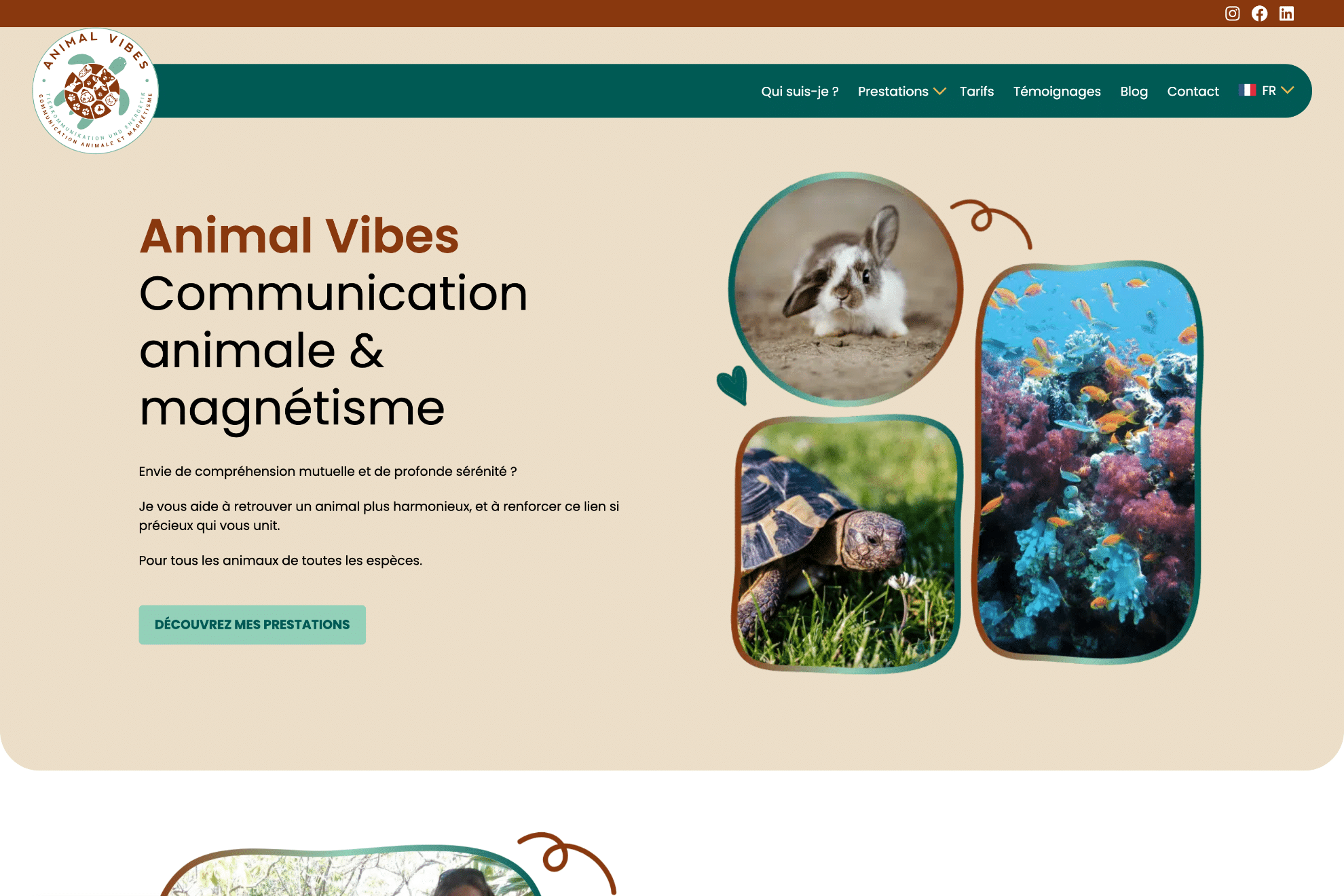 animalvibes visuel thumb
